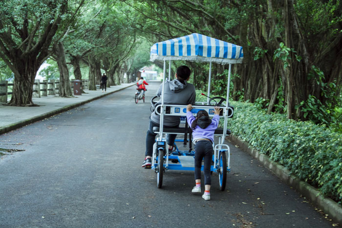 西奧多公益植樹活動